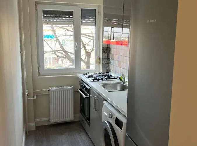 Premium Sagului * Тімішоара